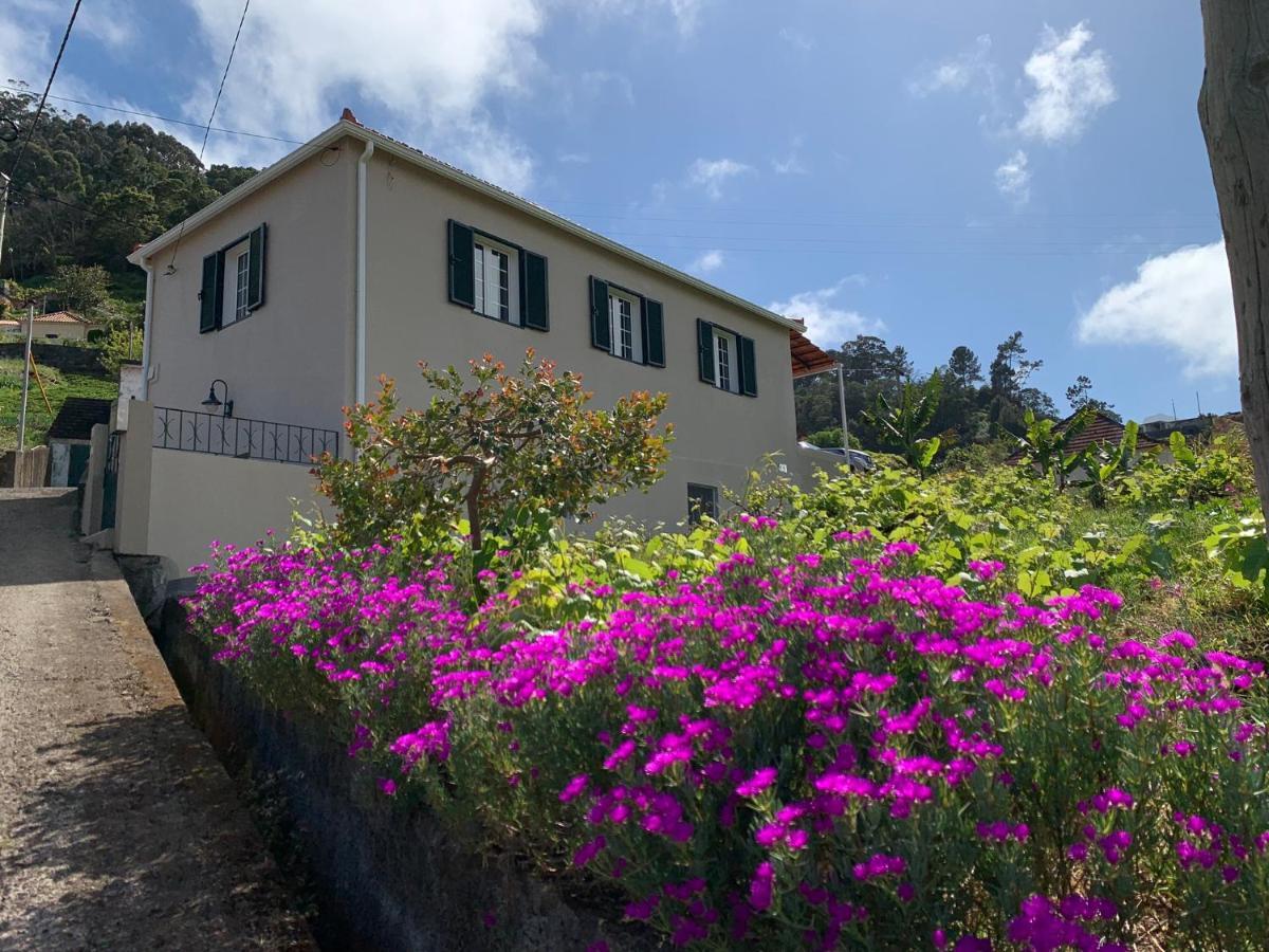 Terra Batista House Villa Porto Da Cruz Eksteriør billede